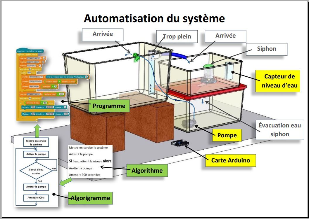 Automatisation