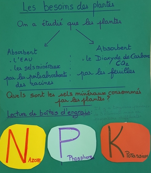 Etape 6