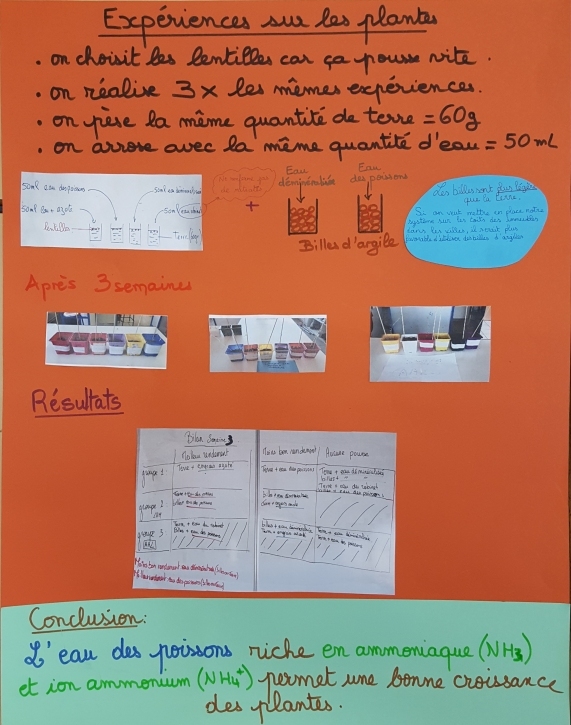 Etape 8