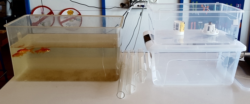 Départ maquette