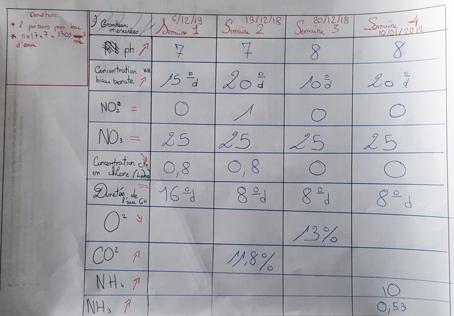 Résulats