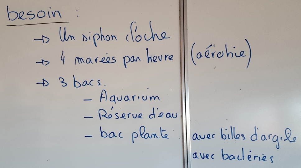 Bsoins1
