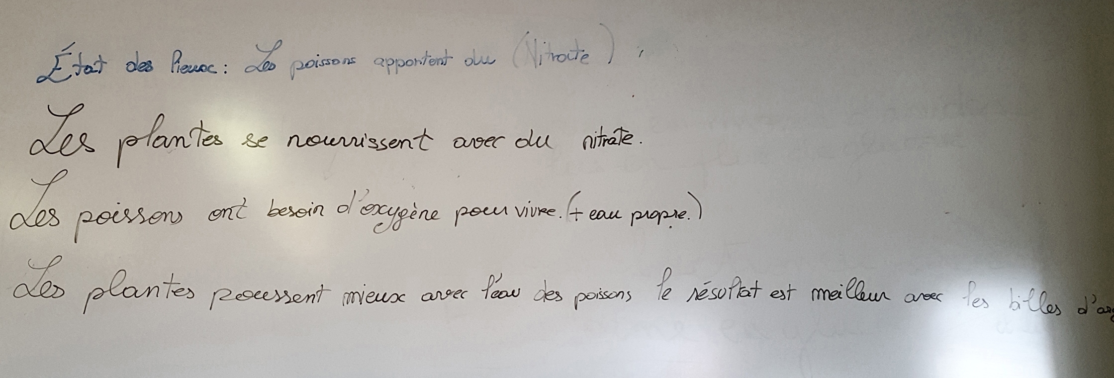 Bilan