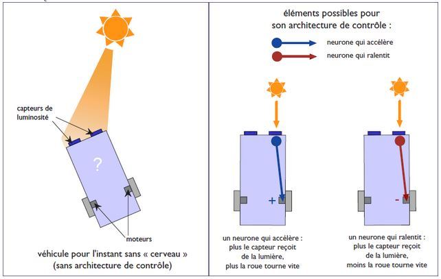 Comprtement1
