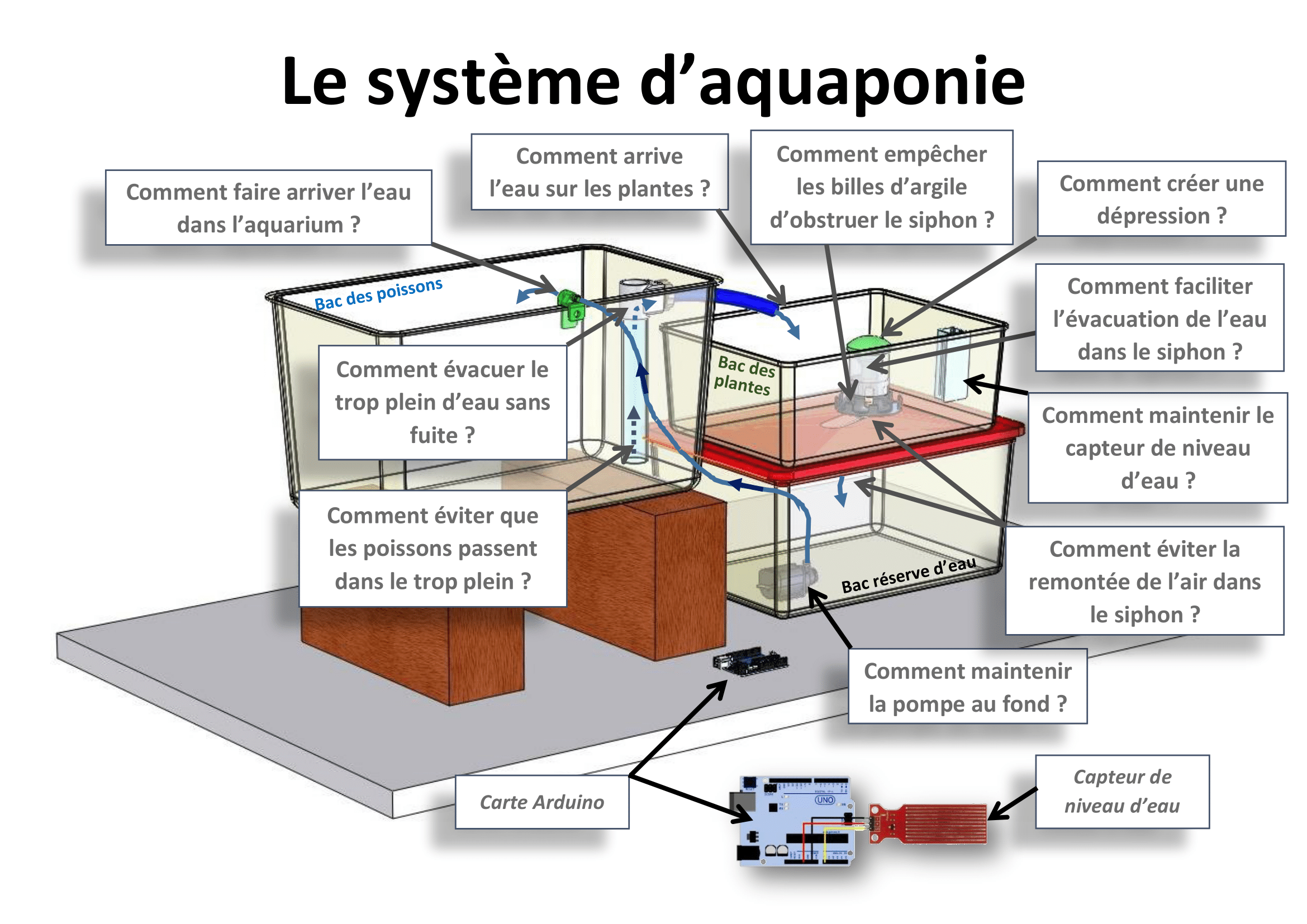 Aquaponie
